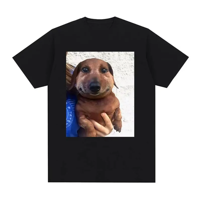 Lustiges Dingo Ahh Dog Meme T-Shirt, geeignet für alle Frauen, ein Lighthearted und Humorous Survey T-Shirt Top Grafik T-Shirts Y2K Top