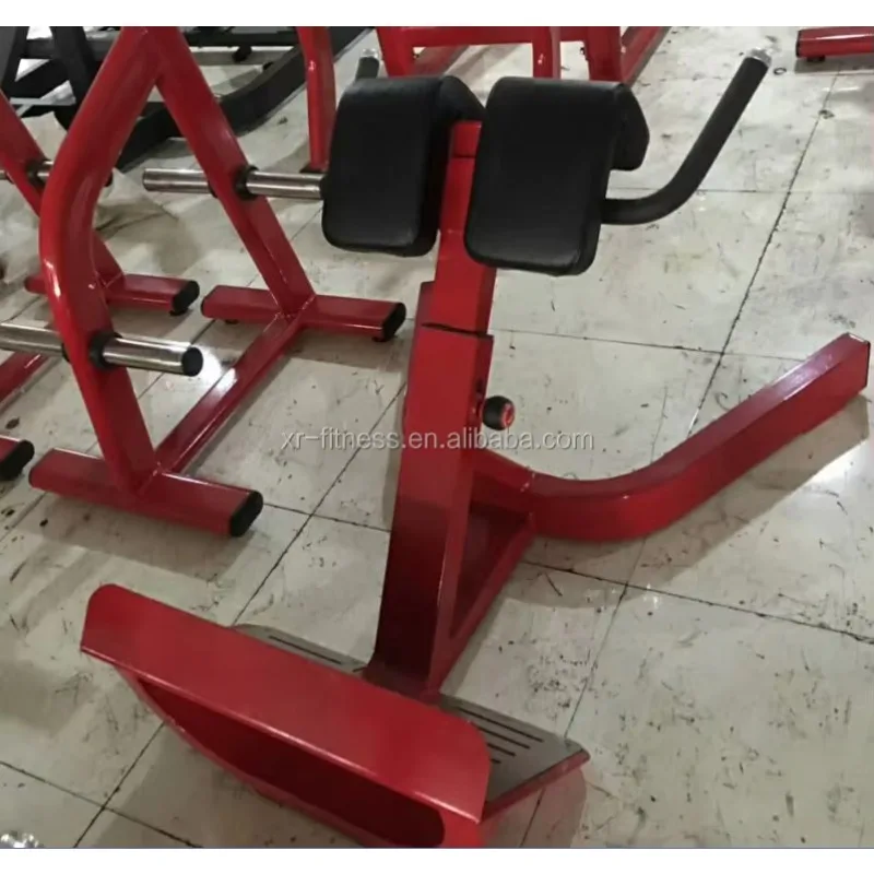 Silla romana comercial para culturismo, equipo de ejercicio físico, suministro directo, precio bajo de fábrica