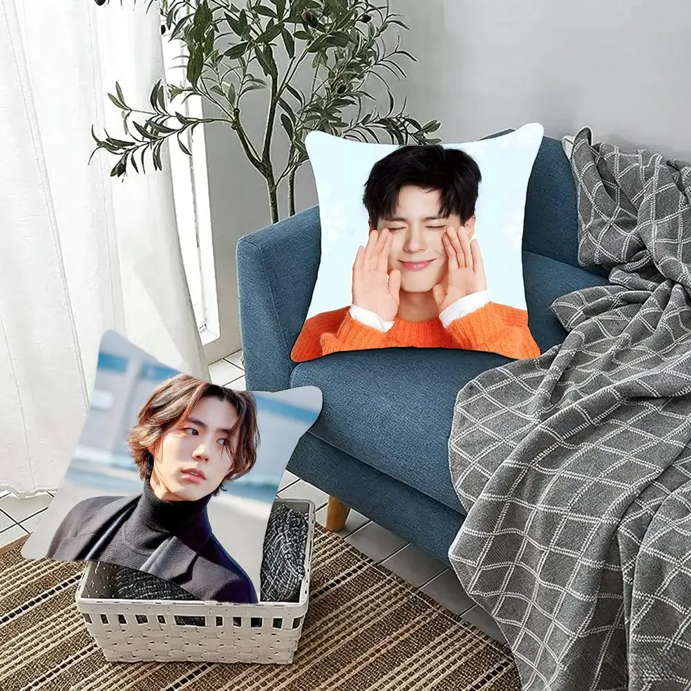 Talented actor Park Bo-gum Cushion Cover Fluffy velvet Nordic style plush Living room sofa decorative