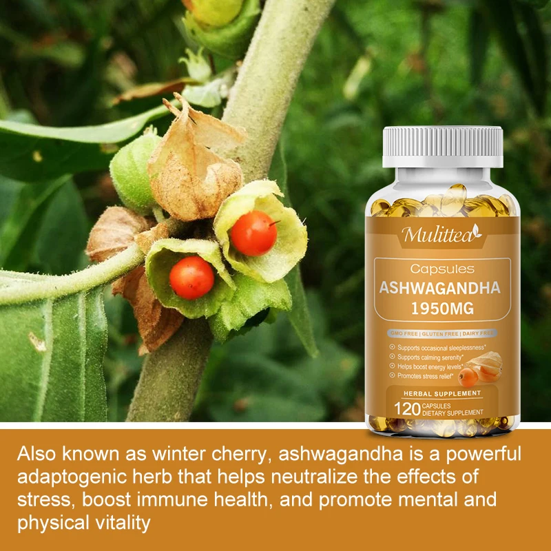 Mulittea Ashwagandha Extract for Increases Your Energy and Desire Relieve Stress Support Mood & Focus Support Sleep Health