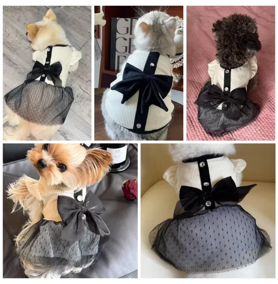 Luxuriöses Hundekleid für klei – Formal Waistcoat Vest Bewertung und Preis
