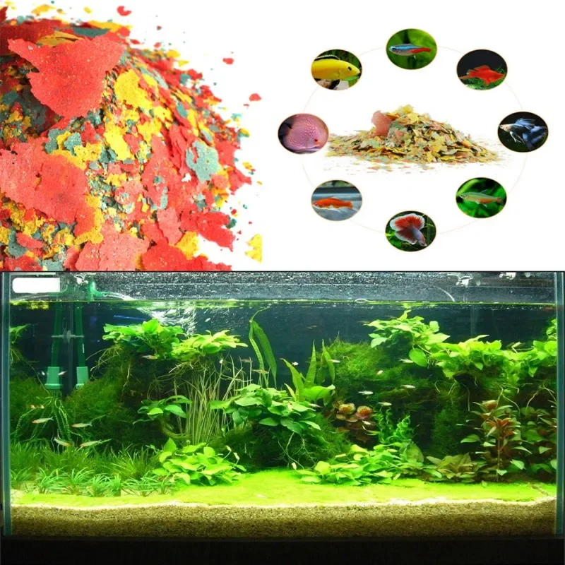 Alimento para peces, colorante e iluminador, alto en nutrientes, crecimiento de peces tropicales, copos de comida saludables para peces