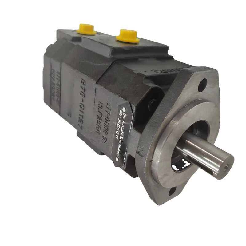 

PGP300 PGP315 PGP330 PGP350 PGP365 PGM315 PGM330 PGM350 PGM365 hydraulic gear pump PGP315B193PQAB05-66MXAB05-1