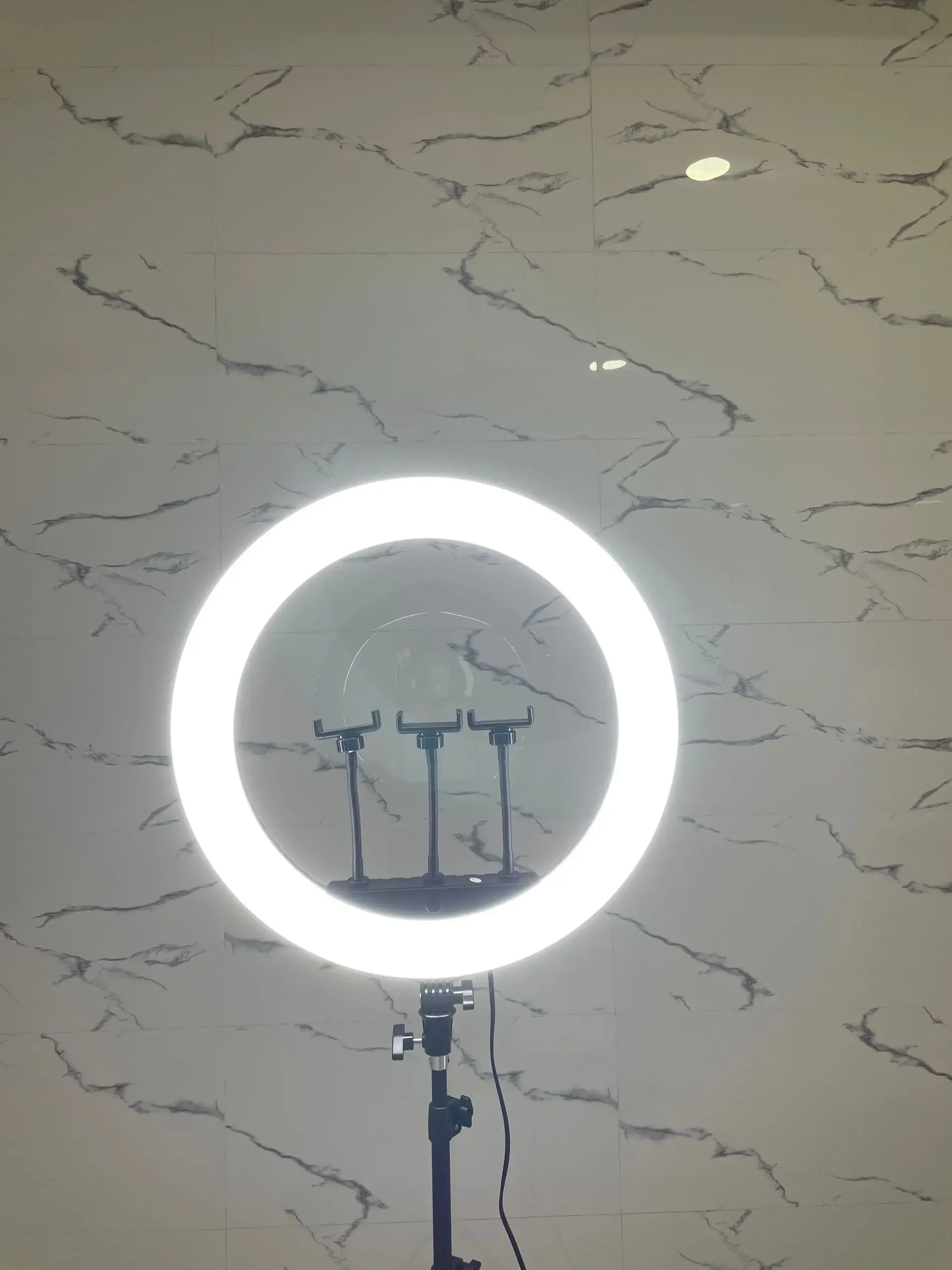 HQ-21n Set di lampade per fotografia con luce anulare a LED da 21 pollici Dimmerabile continuo con supporti per telefono Telecomando per trucco selfie