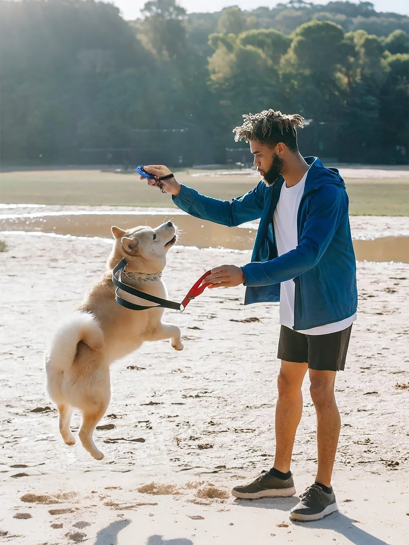 Thumbnail 3 - #21 Trending Pet Training Clicker Right Now