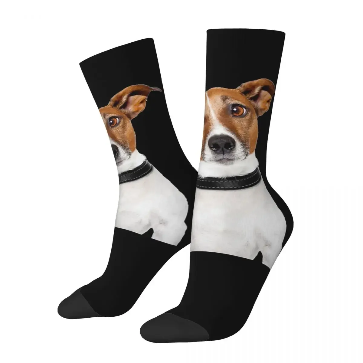 Jack Russell Terrier Dog Funny Socks Harajuku High Quality Stockings All Season Long Socks Accessories Unisex Birthday Present