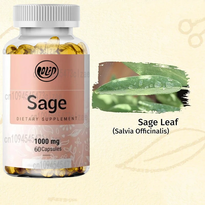 

Капсулы для шалфея — органическая добавка для сольвии и официцинали способствует функцию мозга, иммунитет и пищеварительной здоровью — вегетарианскому, без ГМО