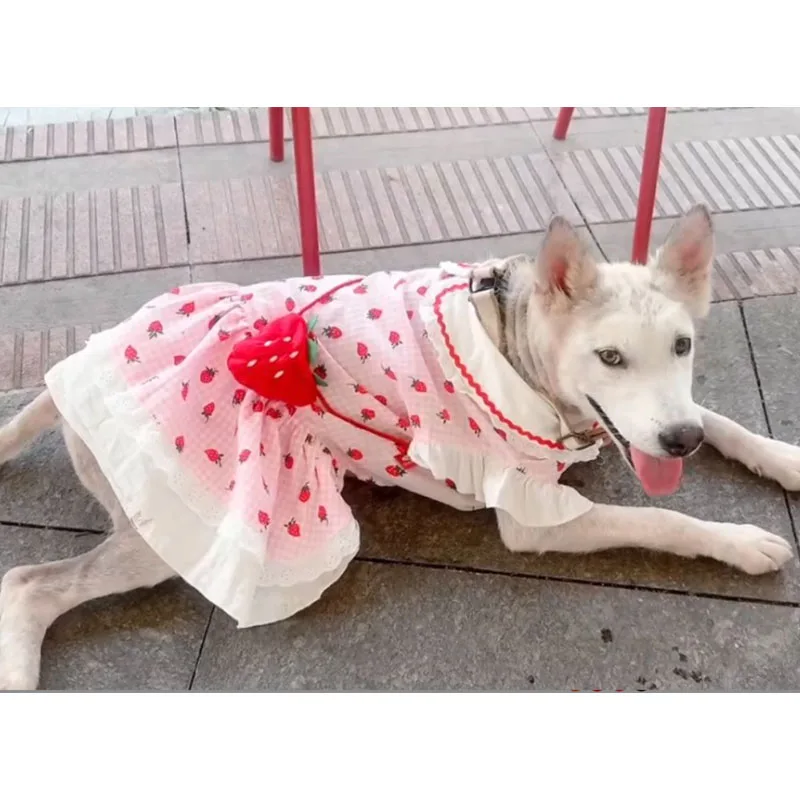 Vestido verano fresas para perros y gatos: Chihuahua y Yorkshire - imagen 3