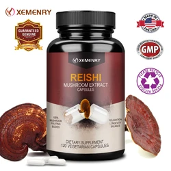 Ganoderma Lucidum Capsules - Restore The Body and Improve Sleep, Improve Cognitive Function