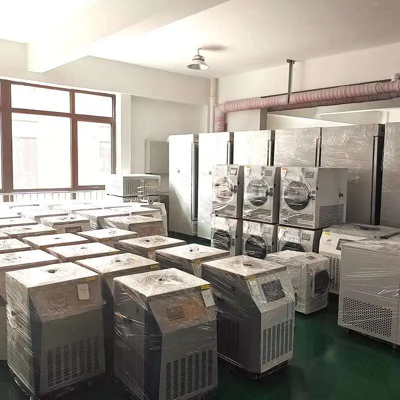 Fully Automatic Fruit And Vegetable Freeze Dryer Machine For Food Home Use Freeze Dryer For Sale