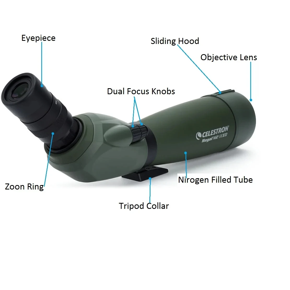 Celestron Regal M2 80ED Spotting Scope 20-60x Zoom Monocular ED Objective Lens For Bird Watching, Hunting and Digiscoping#52305