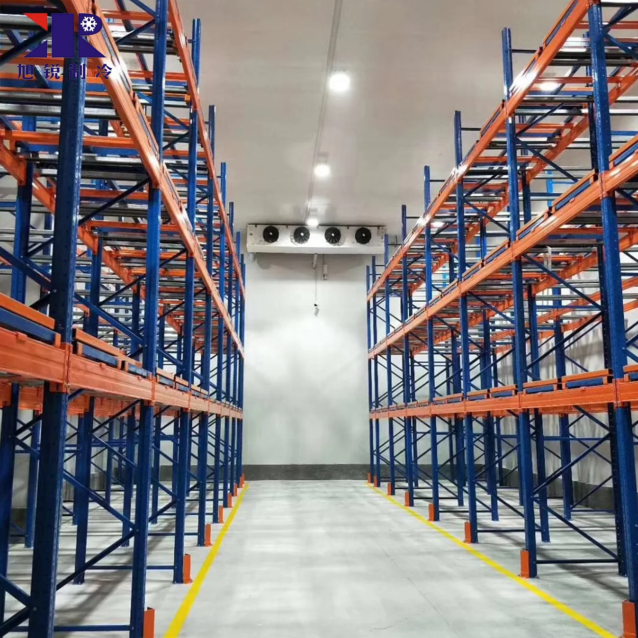 Conservazione frigorifera commerciale Sala frigorifera Conservazione frigorifera Camera frigorifera