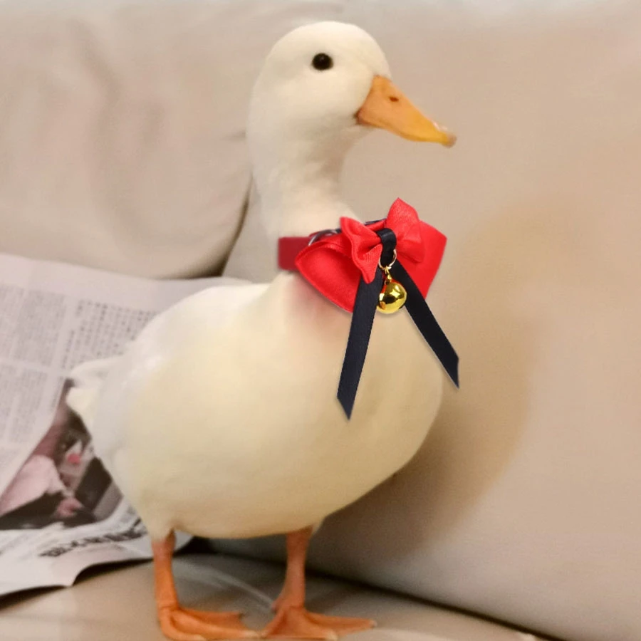 1pc Pet Chicken Duck Goose Tie Handmade Parrot Selling Cute Bird Collar Tie