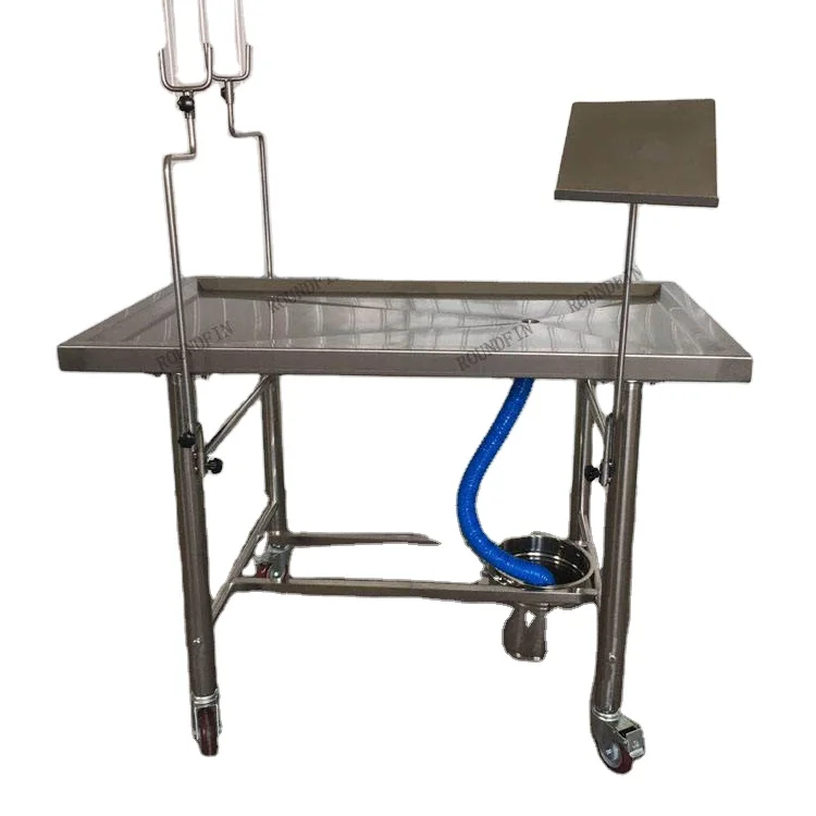 Roundfin Animal Pet Clinic Table Stainless Steel Animal Operating Table