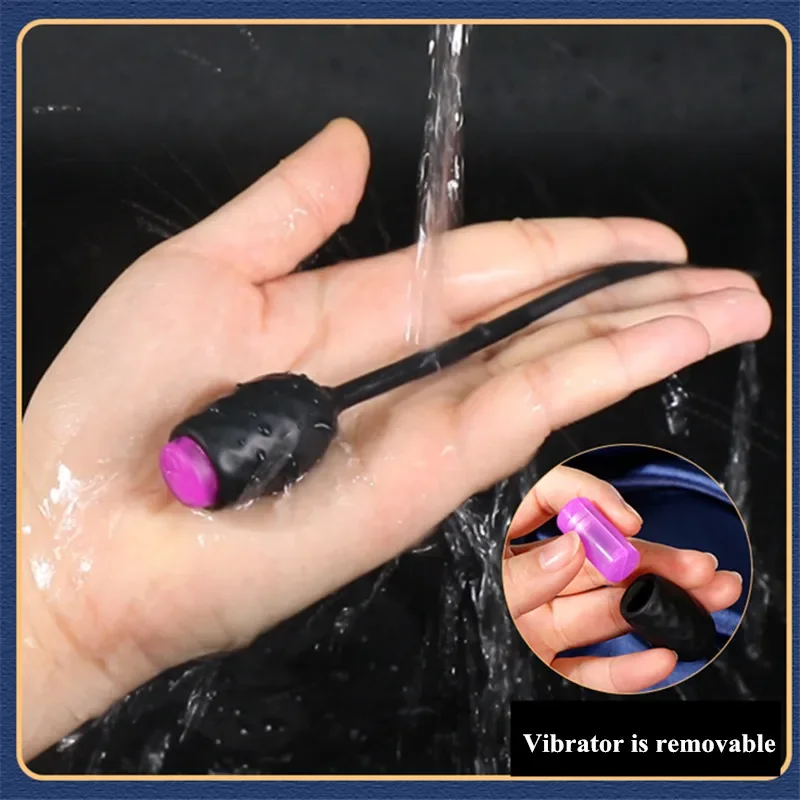 Vibromasseur sonore urétral pour hommes adultes, dilatateurs uréthraux, cathéters, insert en silicone, prise de pénis, jouets sexuels, prise uréthrique, 10 vitesses