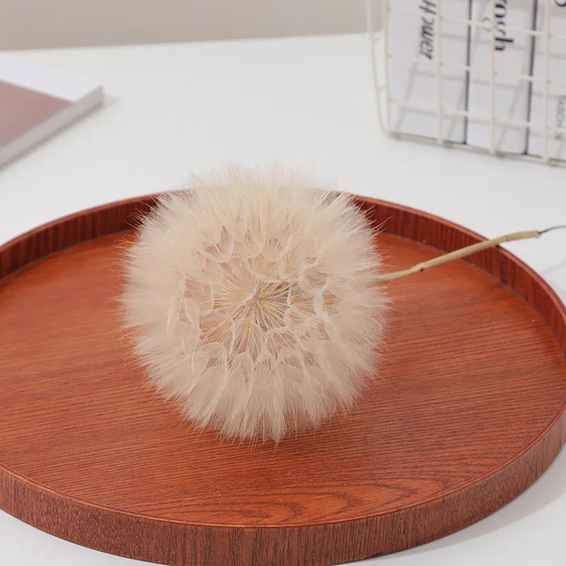 Preserved Dandelion DIY Epoxy Resin Craft Kit, Forever Dried Flower for Resin Molds, Decor & Photo Props