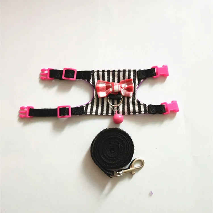 حبل جر من المينك للحيوانات الأليفة، سنجاب قطة التنين، حزام صدر خاص للحيوانات الأليفة الصغيرة #5