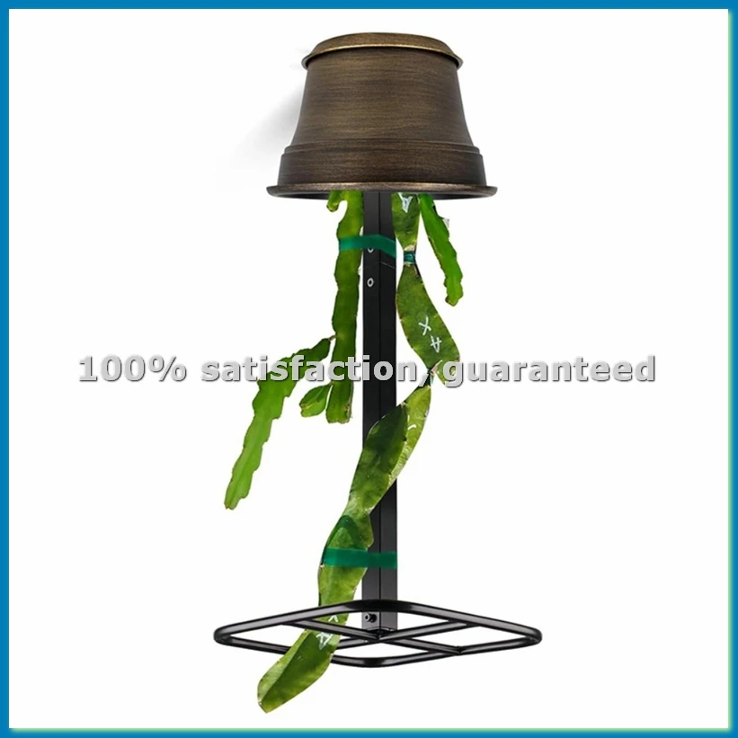 Premium Dragon Fruit Trellis - Durables Metal Trellis for Vertical Gardening and Climbing Plants-A56M