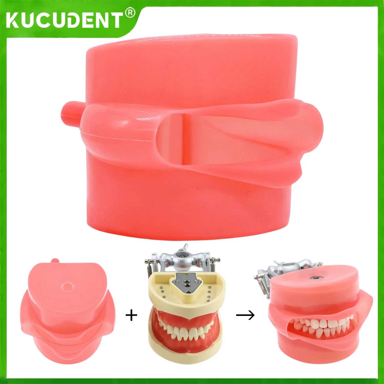 

1:1, стоматологическая модель головы Typodont с мягкой резиновой щекой и силиконовой маской, имитация фантом для тренировки зубов, имплантата