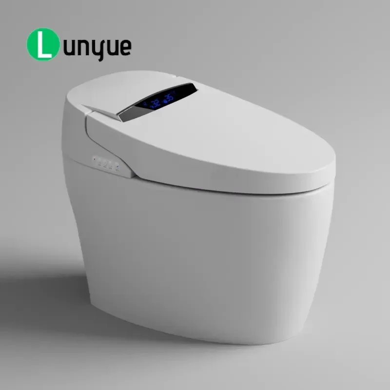 Smart Ceramic Toilet Floor to Ceiling Remote Control Automatic Bidet High Quality Bathroom Hygiene Fixture for Modern Home