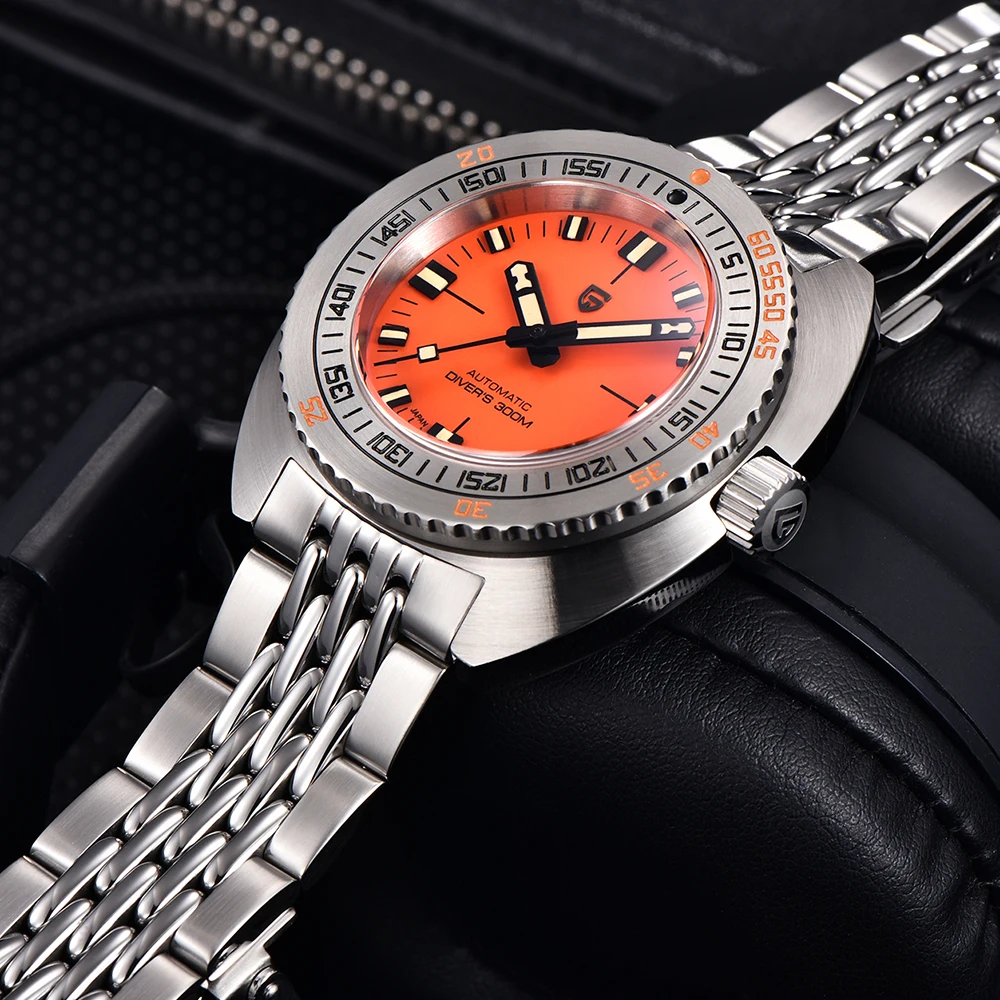 PAGANI DESIGN Herren Automatis – Diver Watch 300M Bewertung und Preis