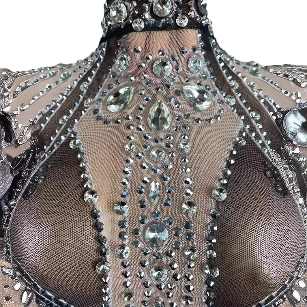 أداء زي مثير منظور حجر الراين بأكمام طويلة ريشة خياطة فستان حفلة طويلة المرحلة Abito الفاخرة Elegante Gala