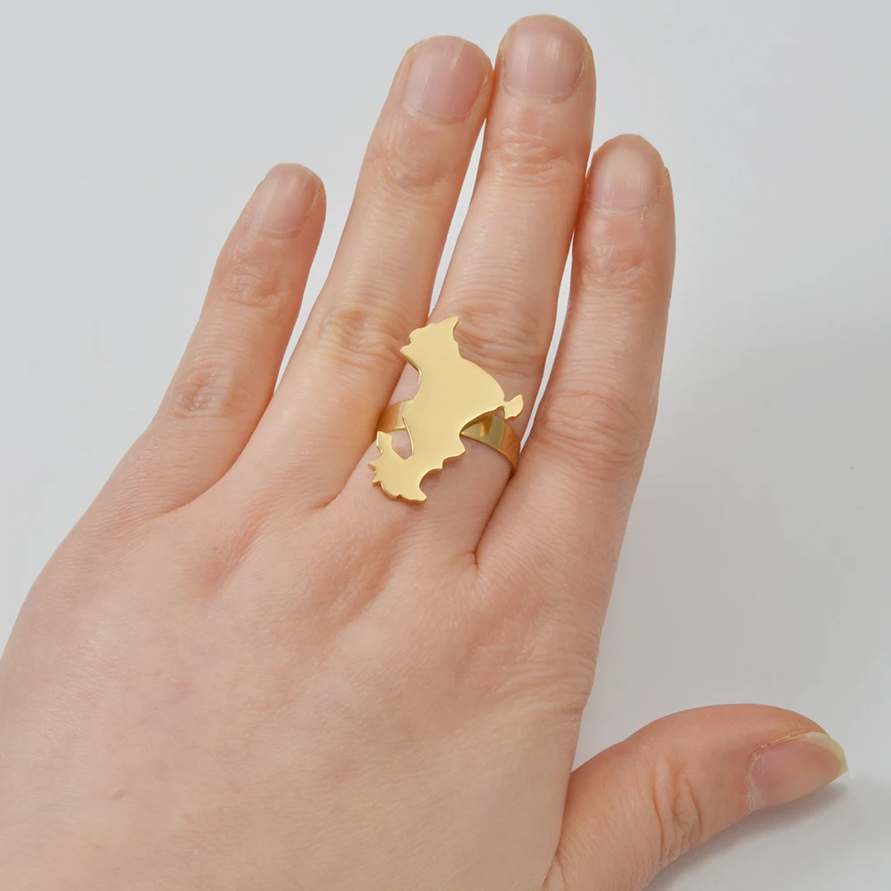 Women's Big Ring with Hyperbole Design, Stainless Steel
