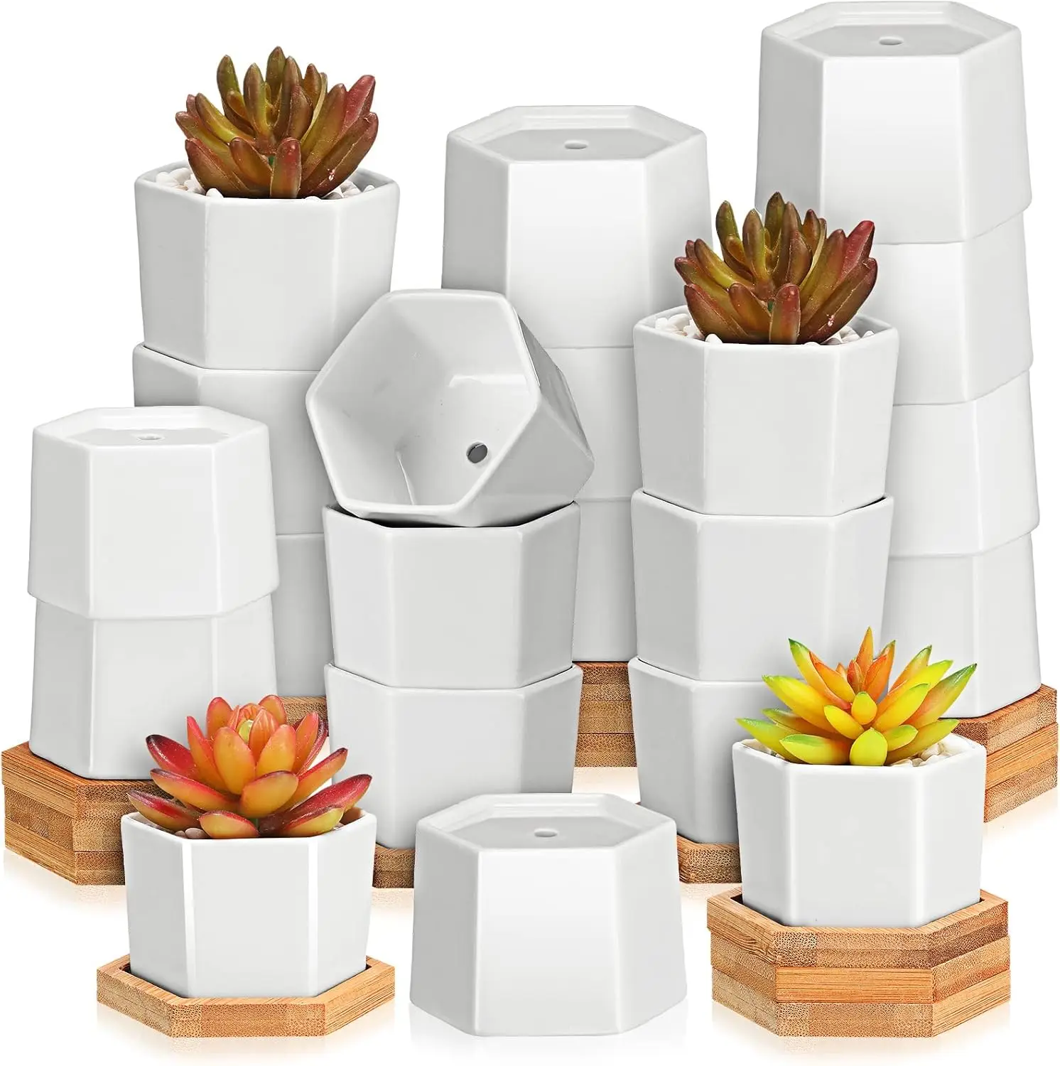 

Succulent Pots Mini White Ceramic Flower Planter Pot Succulent Planters with Wooden Trays and Drainage Holes for Plants