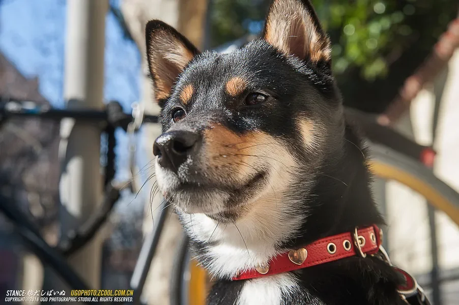 Flywoo GOKU F722 PRO V2 30x30 Flight Controller Plug-and-Play with 16MB Black Box and Modular Installation for fpv drone diy