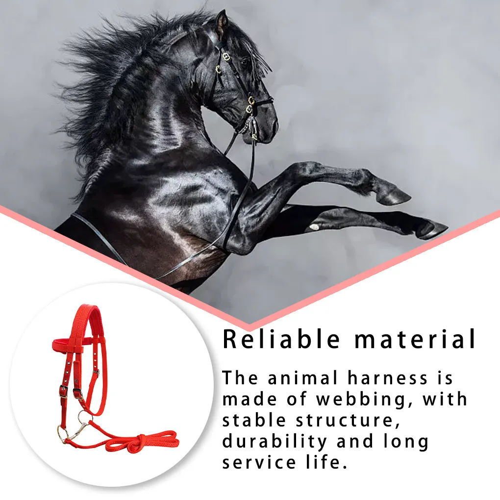 Уздечка для животных, мягкая регулируемая шлейка, воротник на голову, многоразовые моющиеся уличные аксессуары для закусок, черный S