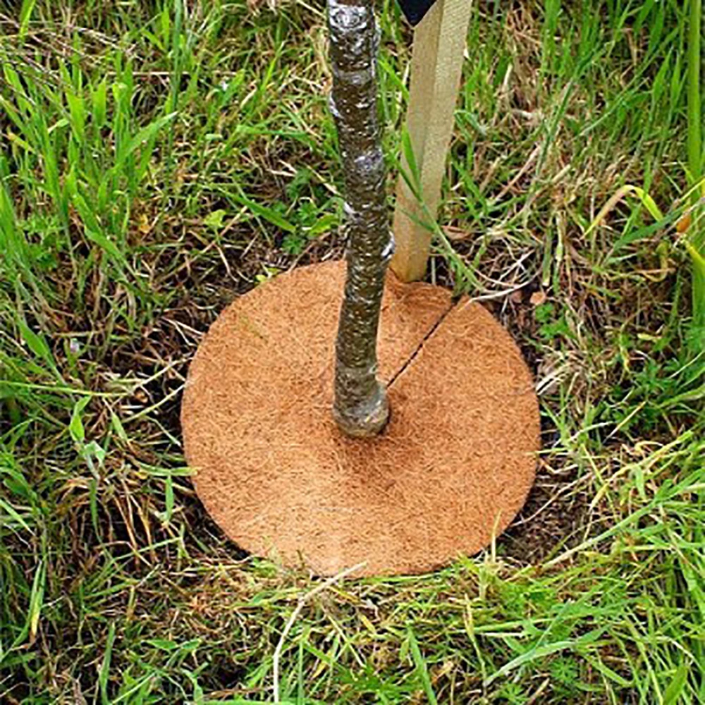 Película de cubierta hidratante para suelo en maceta, Protector de tronco de árbol, planta de fibra de cáscara de coco redonda, antimalezas, 25 cm,