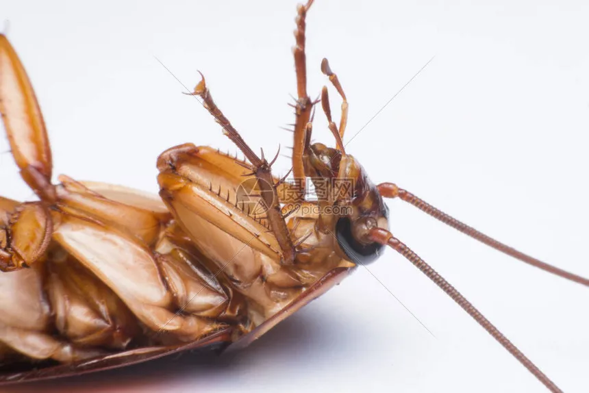 

Металлические передние бамперы TRX4M и электрическая лебедка для радиоуправляемого краулера 1/18 TrxsTRX4-M Defender, запчасти для тюнинга