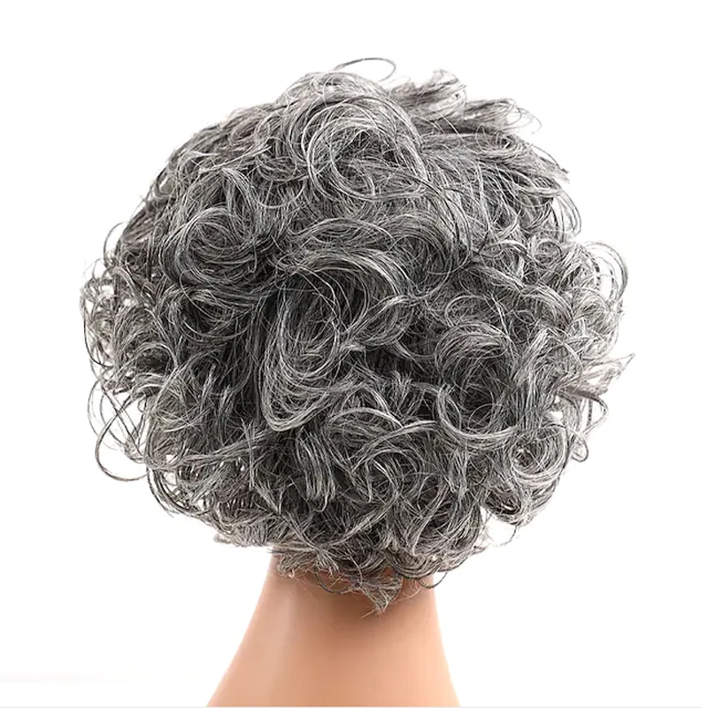 HAIRJOY Synthetic Hair Mix Color for Women Heat Resistant Fiber Daily Short Curly Wigs Gray Fluffy Layered with Bangs