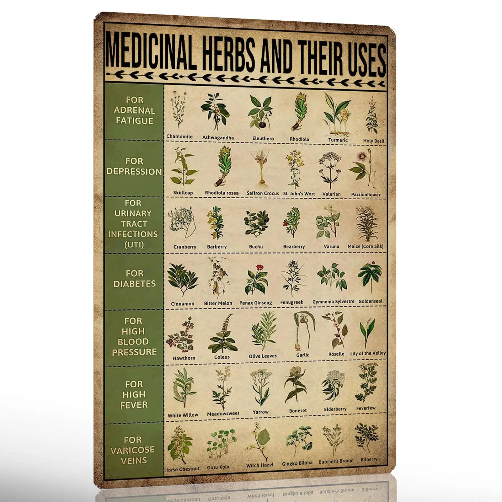 Ykfss Plaque métallique vintage, Affiche de connaissances sur les herbes et l'agriculture maison, Guide de plantation, Décoration végétale, Panneau de connaissances sur les plantes médicinales
