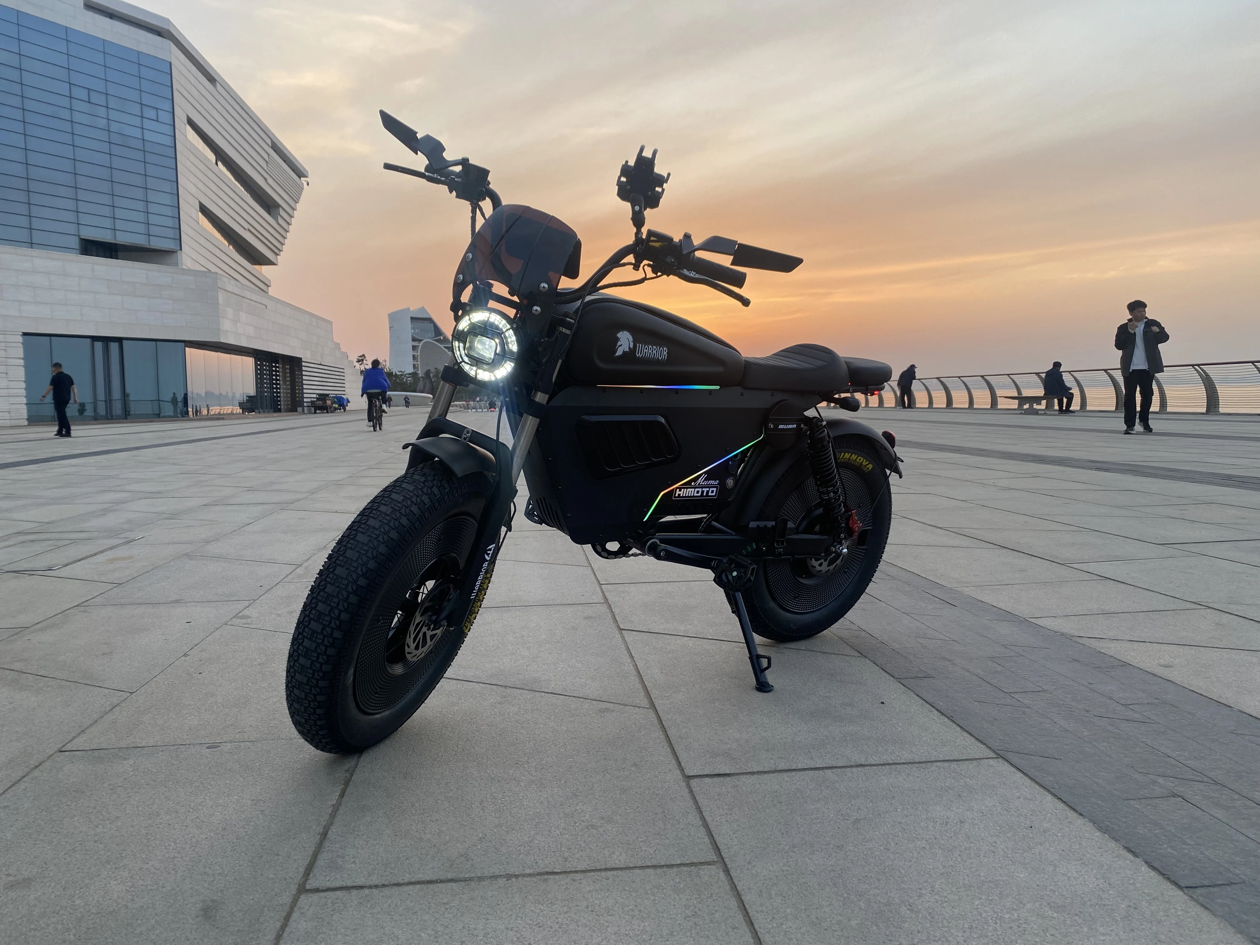 FEIWO Black Warrior High Quality Electric Bicycle 60AH Lithium Battery Integrated 160KM Range 160KM Fat Tire Central Motor