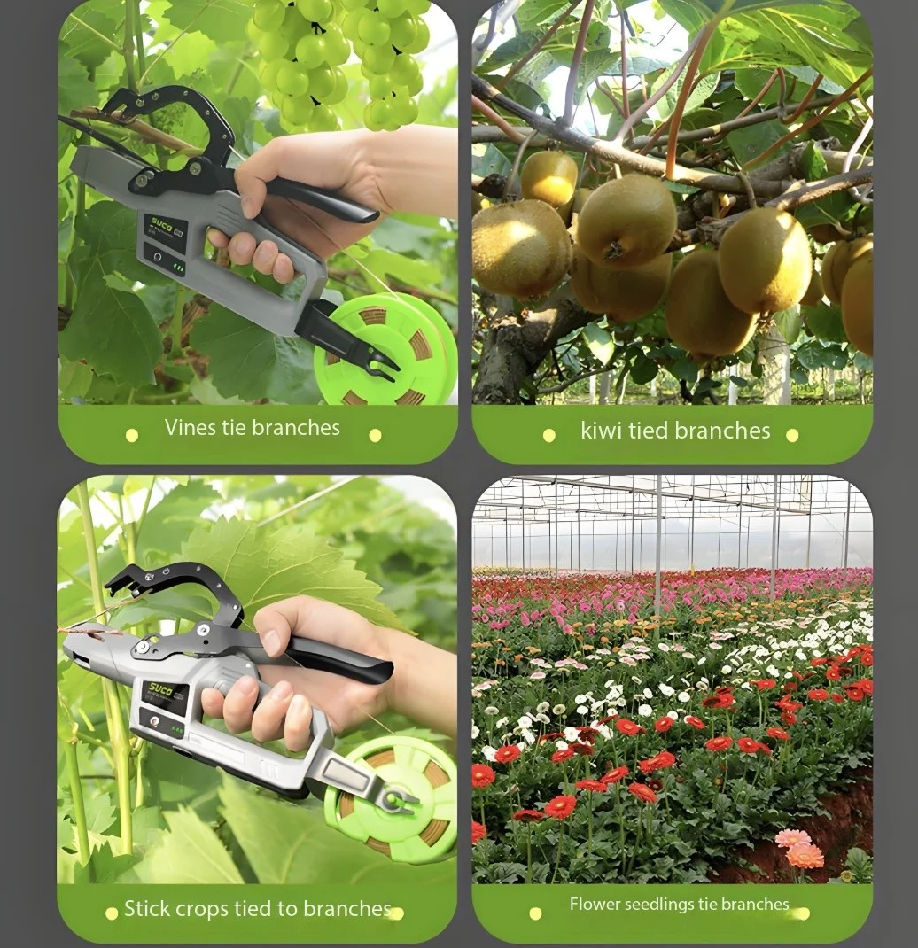 Elektryczna wiązarka do winogron 2025 do winnic, do wiązania tapenerem, w kategorii innych maszyn i sprzętu rolnego.