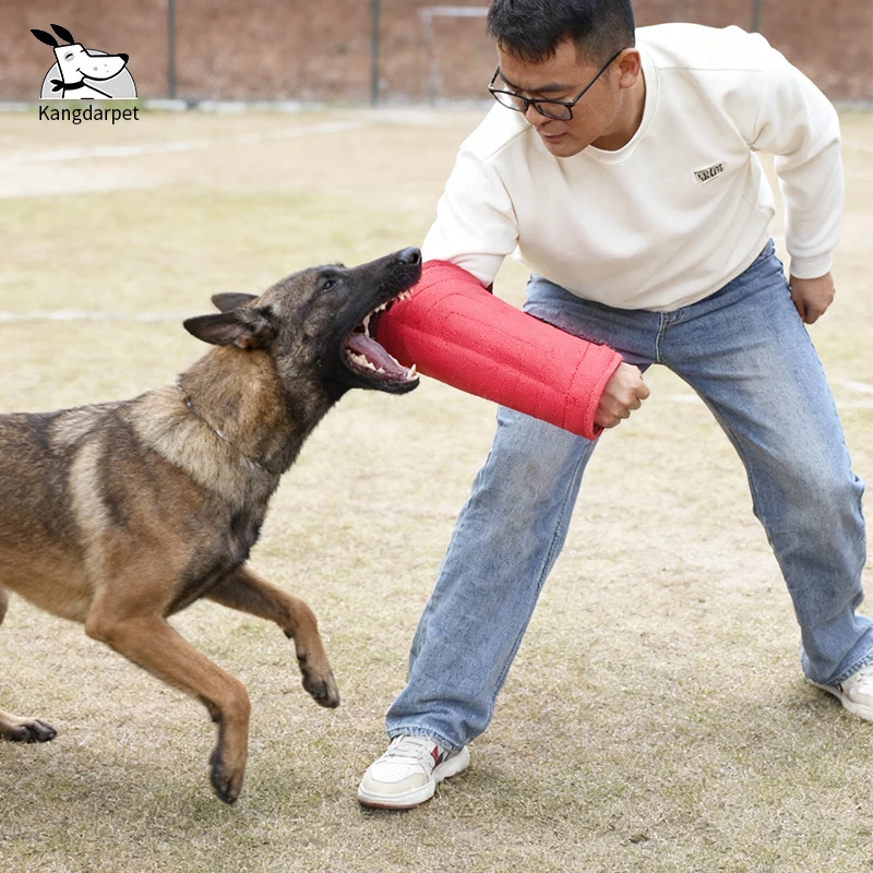 

Dog Bite Sleeve Arm Guard for Puppy Adult Dogs, Tear Resistant for K9 Malinois, Adjustable Training Arm Protection Sleeve