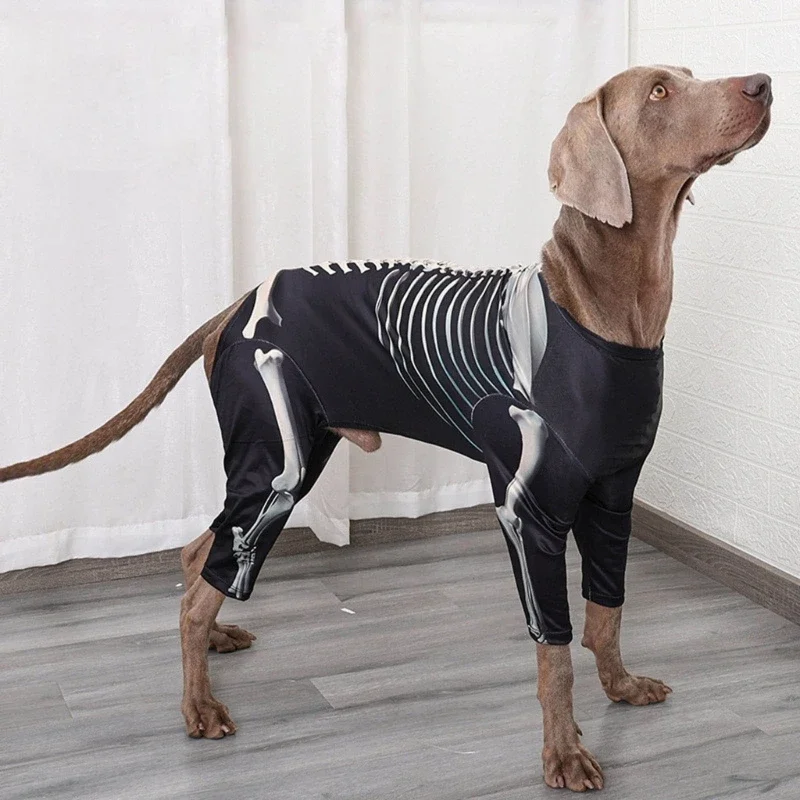 Sweat-shirt à capuche pour chiens, différentes tailles, Costume squelette d'animaux compagnie, vêtements Photo pour pull à