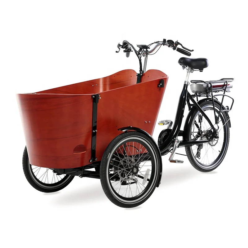 Cargo Use For and Electric Driving Type Electric Cargo Tricycle For Salecustom