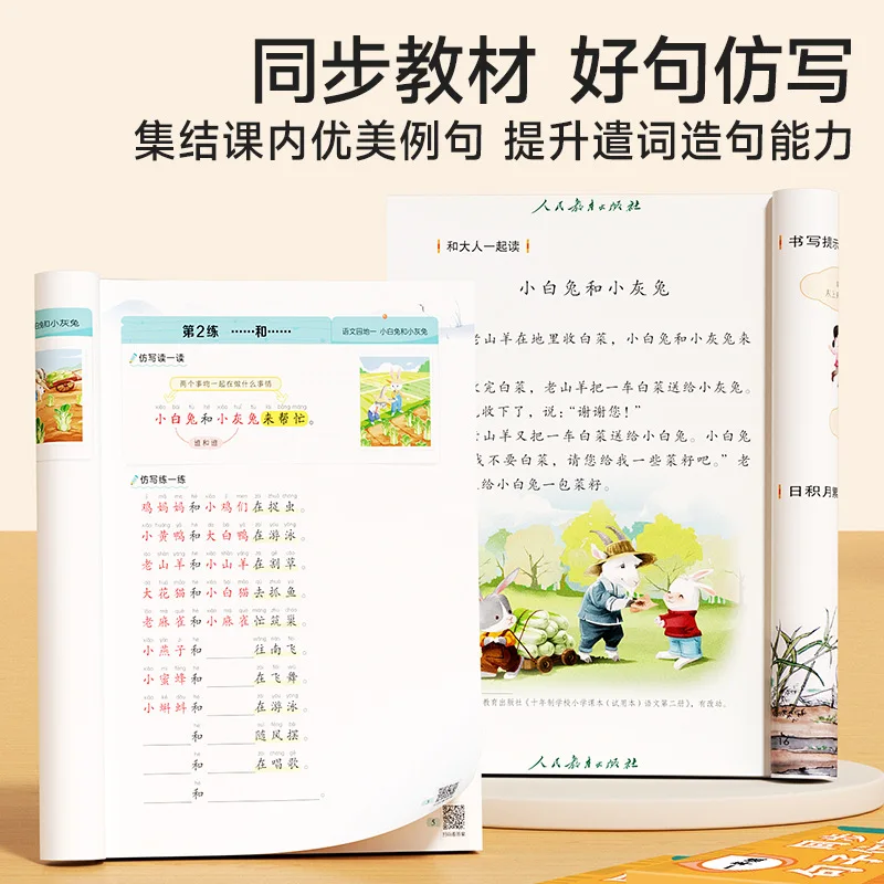 Synchronized Sentence Imitation, Primary School Grades 1-3, Sentence Training Special Practice, Beautiful Sentences