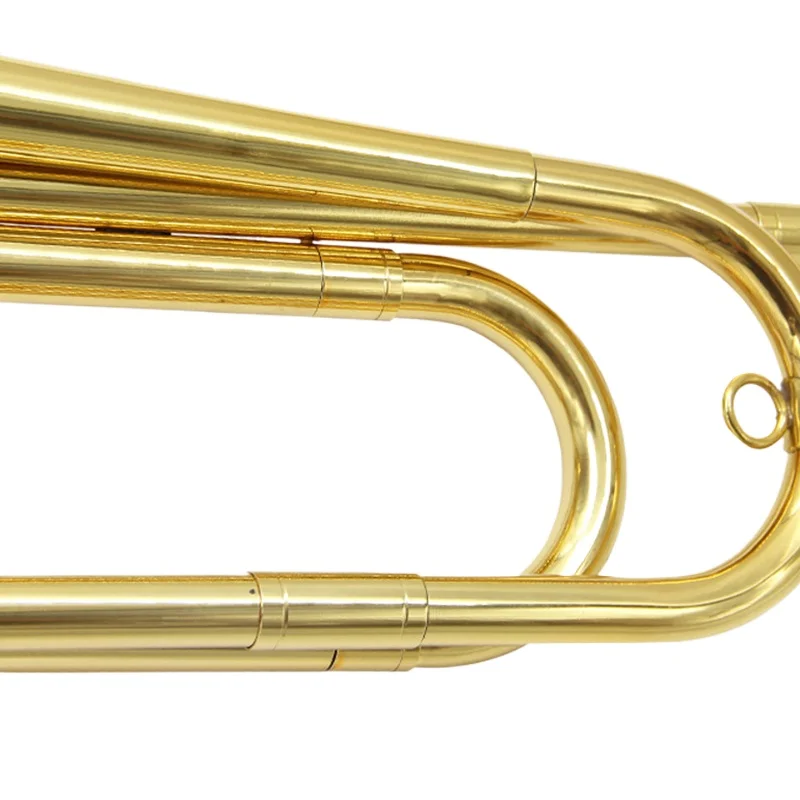 Bb Tuba Professionelle Band Performance Tuba Erwachsene Anfänger Üben Tubas Lack Gold Modulation Blechblasinstrumente mit Tasche