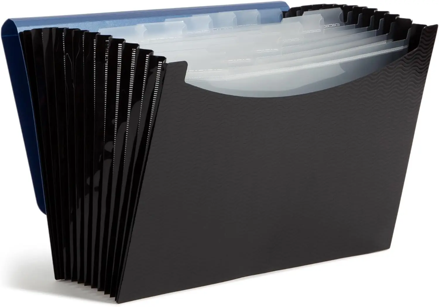 

Expanding File Folder with Flap and Cord Closure, Letter Size Accordion Organizer, 13 Pockets for Home Office Documents