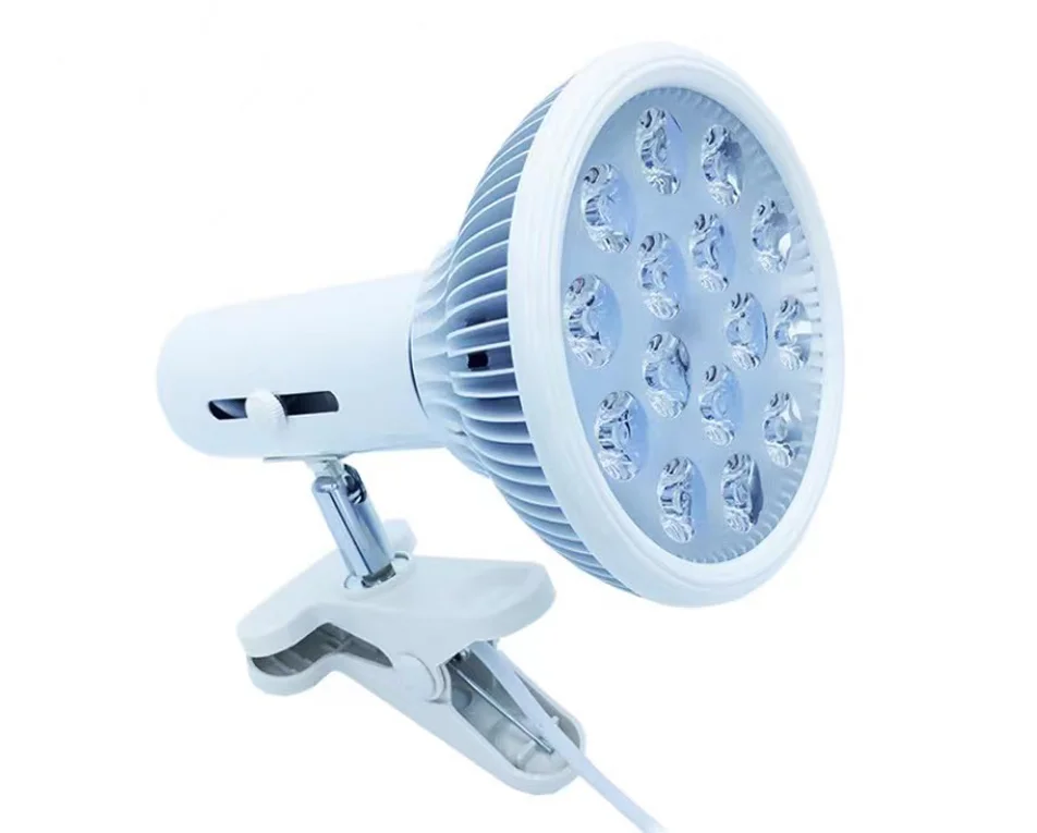 2025-lampada-per-ittero-piu-recente-e-piu-conveniente