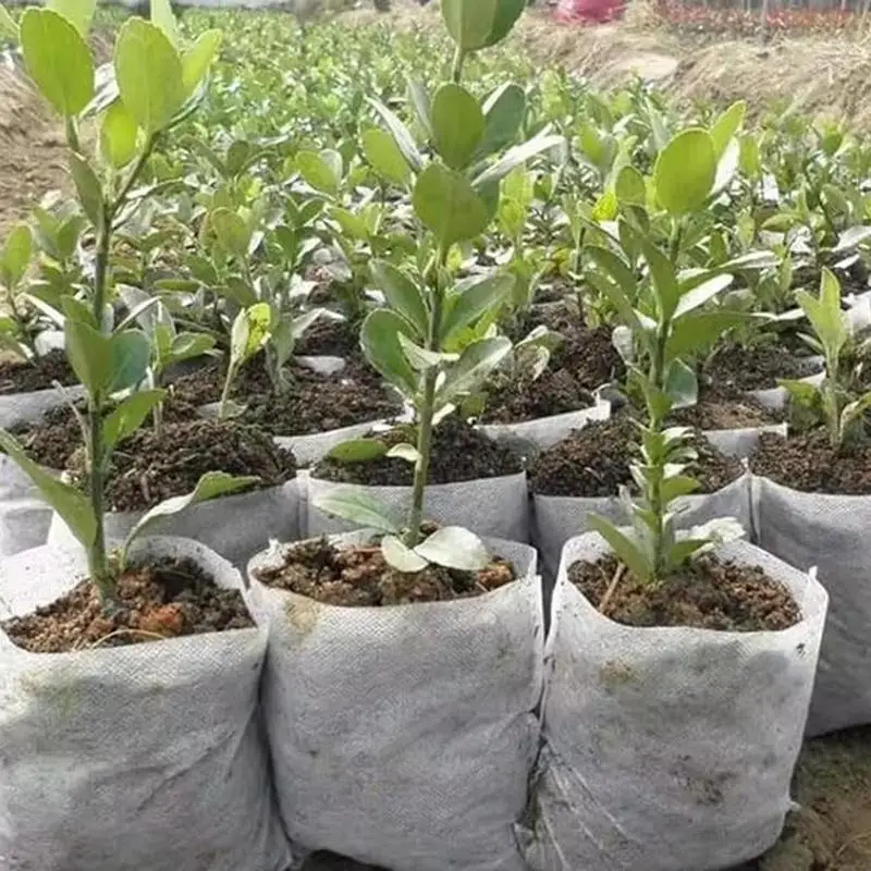 

3 Size Felt Plant Grow Bags 100pcs Plant Nursery Bags Non-Woven Fabric Garden Potato Pot Greenhouse Vegetable Growing Bags