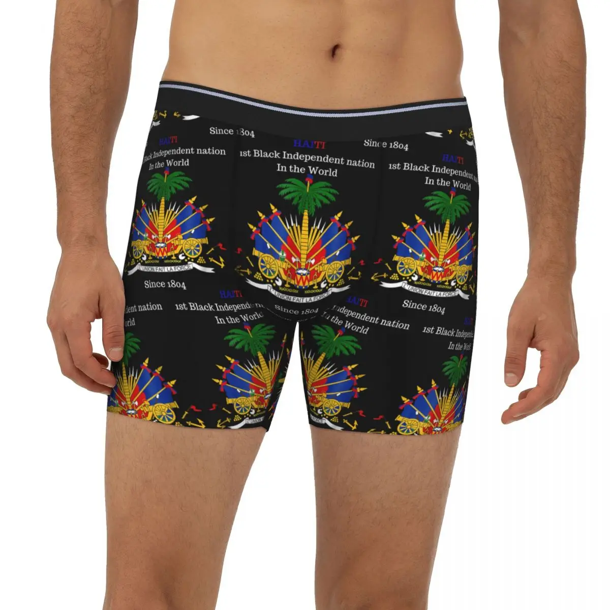 

Флаг Гаитяна отлично подходит для празднования Дня независимости, длинные трусы-боксеры, короткие мужские трусы, мягкое нижнее белье, подарок бойфренду