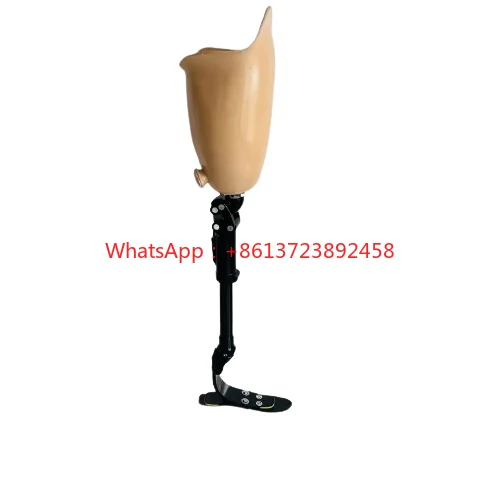 

Pneumatic knee type Prosthetic Implant Leg Artificial Limbs Leg For Amputee Leg Prosthesis