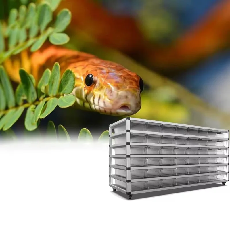 Customization Different size of Modular Snake Rack for reptile made in China 45 series reptile tank