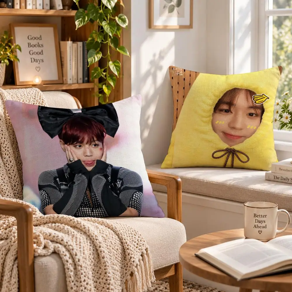 Actor Korean P-Park Ji Hoon Cushion Cover Soft Short Cover Washable Sofa Bed Dorm Garden Home Office Chair Decor