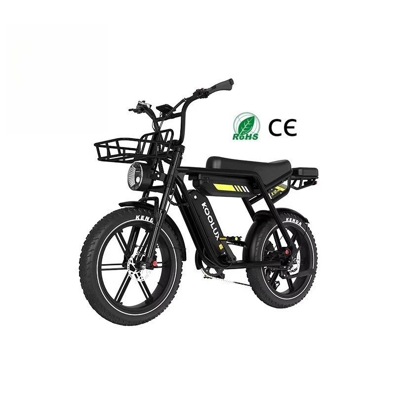 

750 Вт 20x4.0 Fatbike Прямая поставка Электрический велосипед X9 Pro Склад ЕС Duo-батарейки Гидравлические тормоза Ebike для взрослых