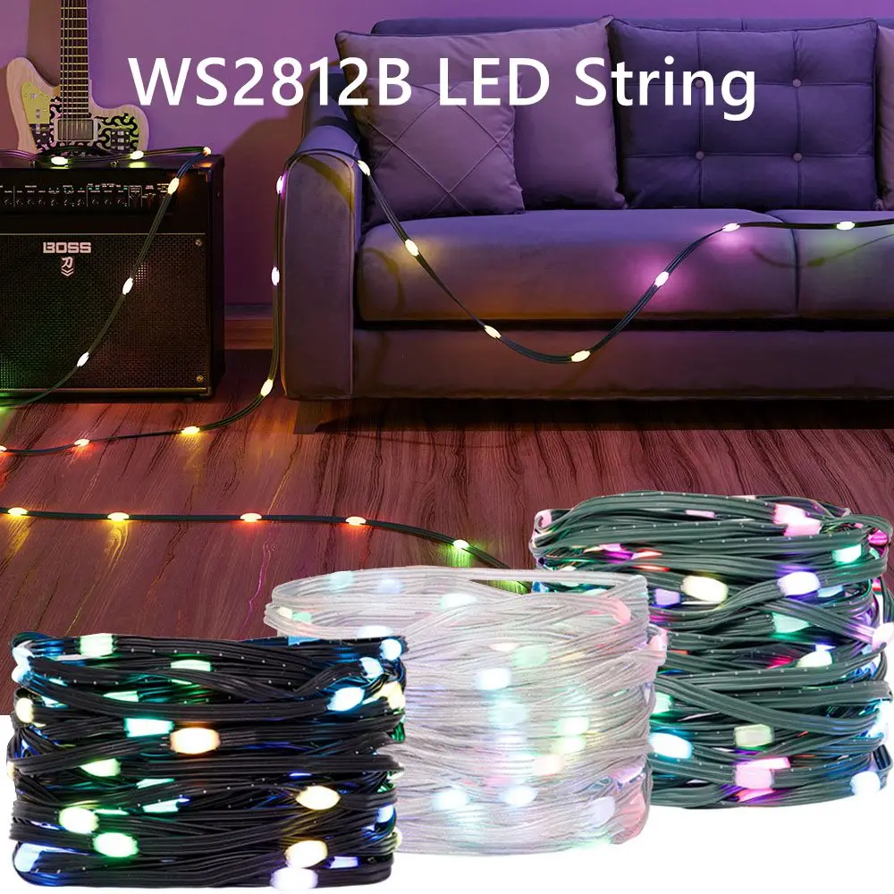WS2812B RGB LED String trasparente verde nero filo 5M-20M indirizzabile festa matrimonio ghirlanda decorazione luci natalizie DC5V